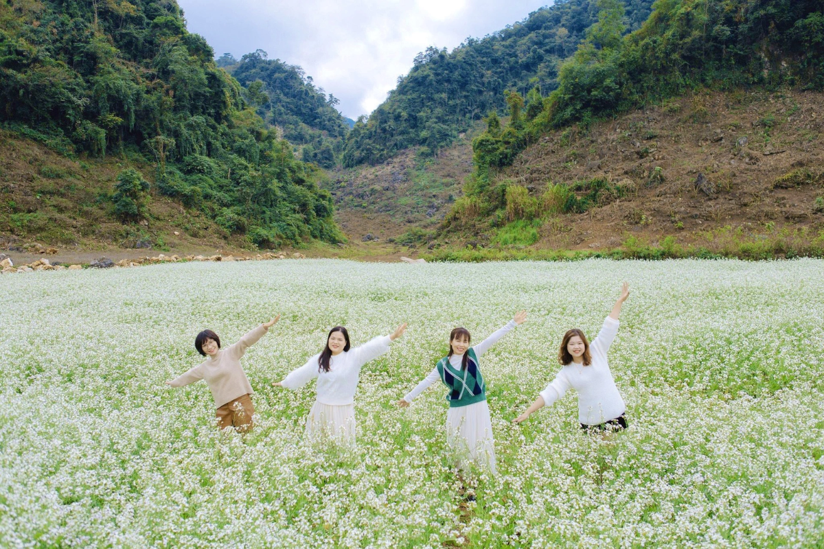 Na Ka Valley covered in white mustard flowers with distant hills in the background